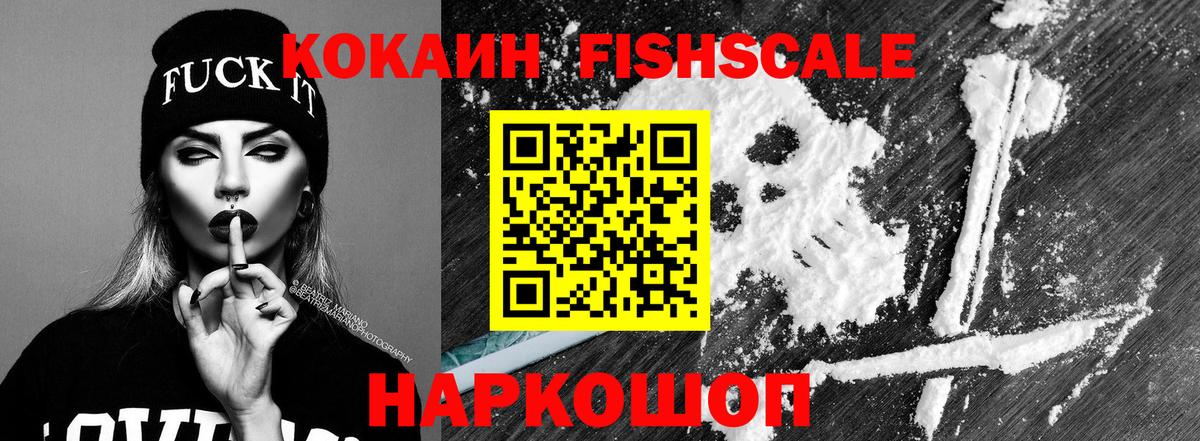 Новочебоксарск  Кокаин Fish Scale  купить закладку  Вход с VPN  Cocaine FishScale 