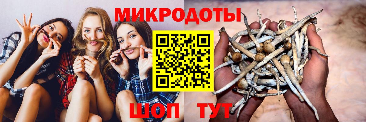 Псилоцибиновые грибы MAGIC MUSHROOMS Новочебоксарск
