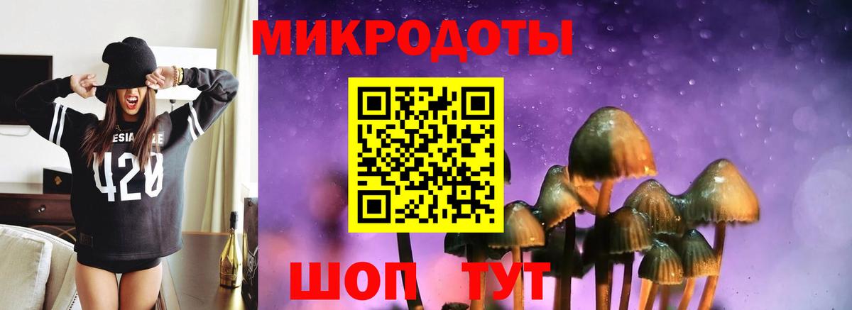 Новочебоксарск  Галлюциногенные грибы Psilocybe  Вход с VPN 